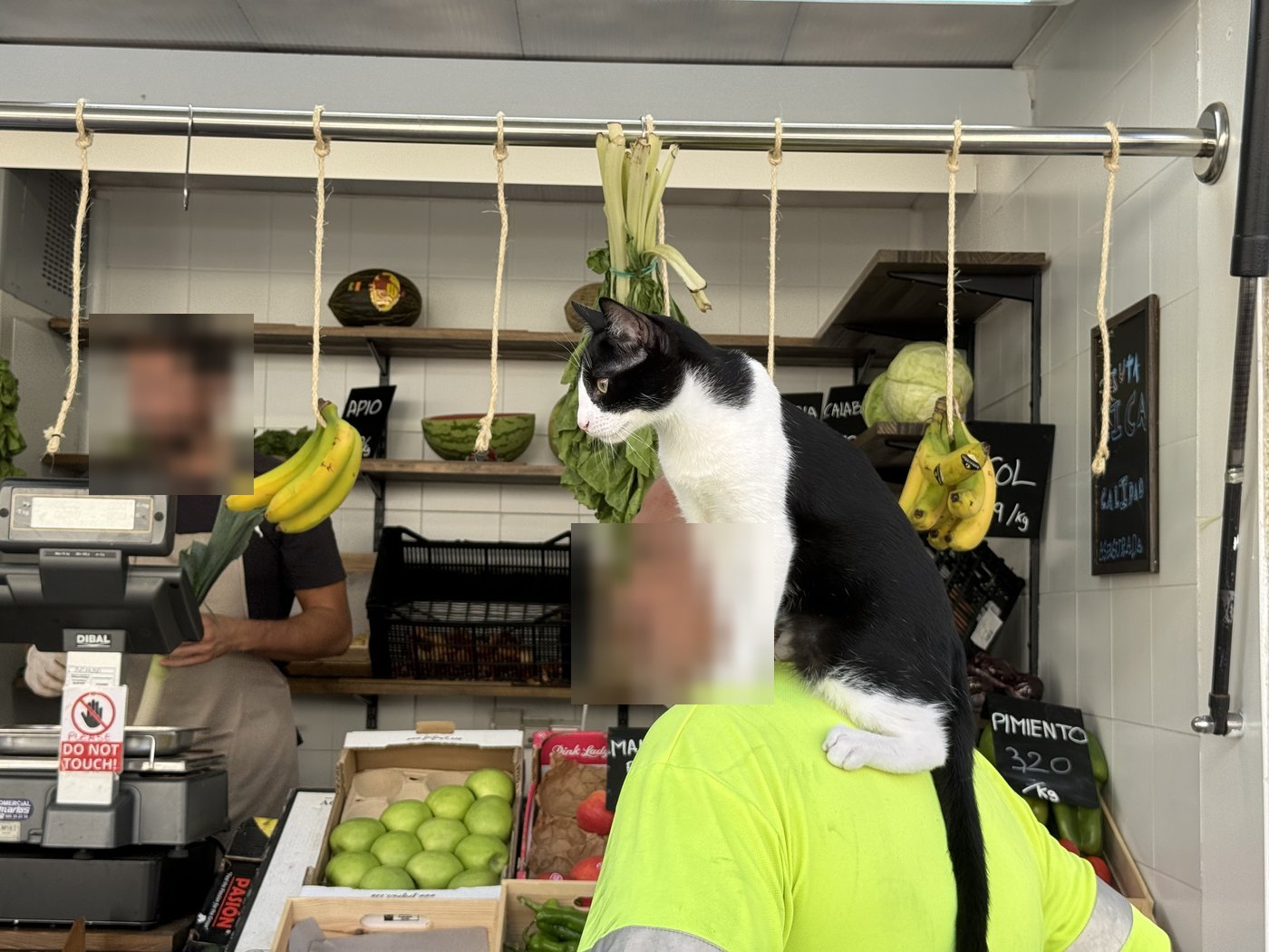 An einem Gemüsestand mit Bananen und Kisten voller grüner Äpfel sitzt eine schwarz-weiße Katze auf der Schulter eines Kunden in gelbem Warnshirt.