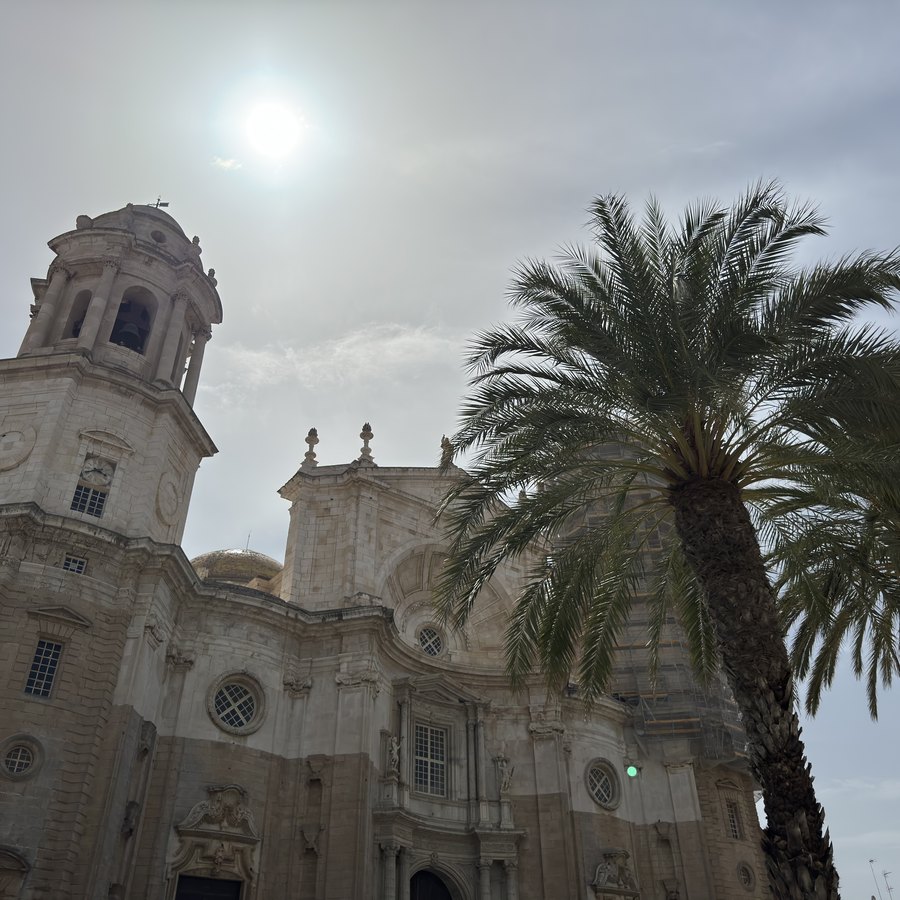 Die Kathedrale von Cádiz im Gegenlicht, die Sonne steht direkt über ihrem Giebel, rechts eine hohe Palme.