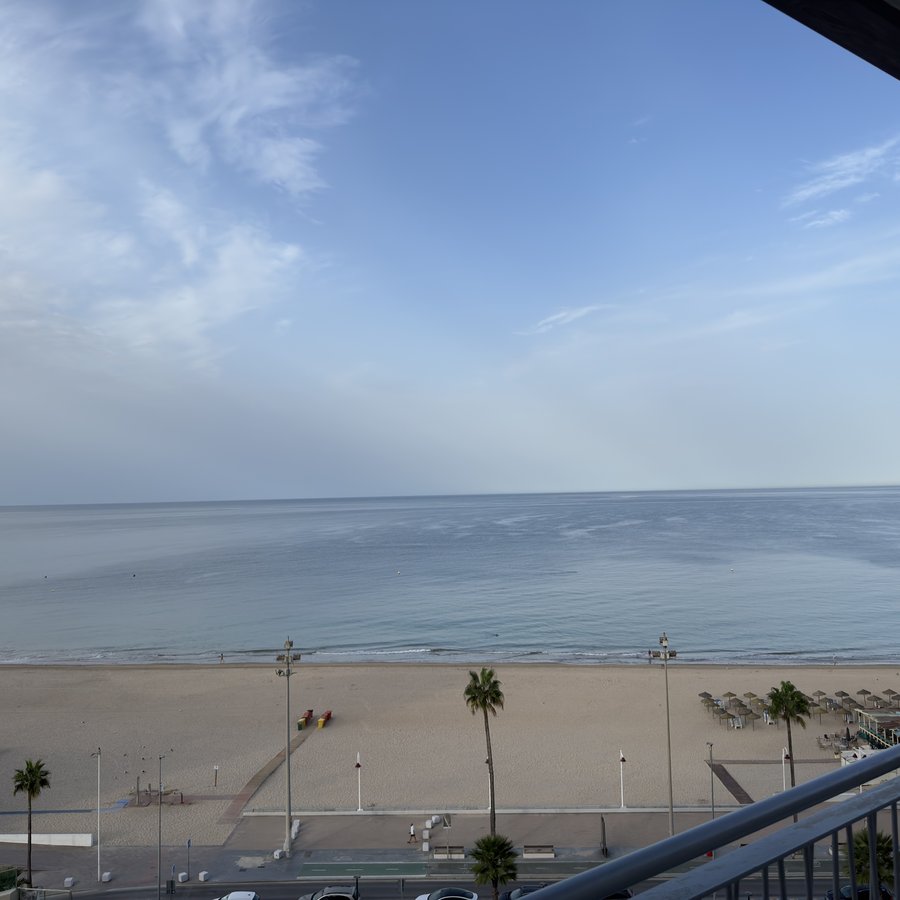 Blick vom Hotelbalkon am Morgen: ein fast leerer Sandstrand mit Palmenreihe und zusammengeklappten Sonnenschirmen, dahinter ruhiges Meer.